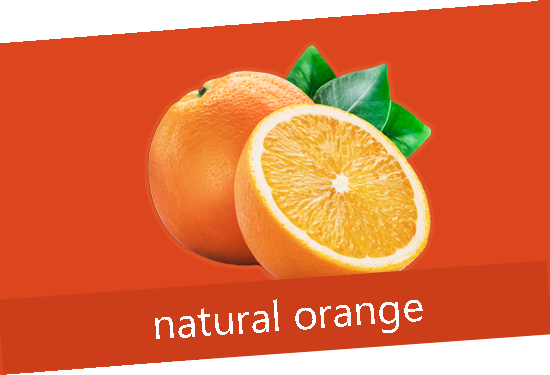 Orange - Seven Star trade for exporting fruits and Vegetables