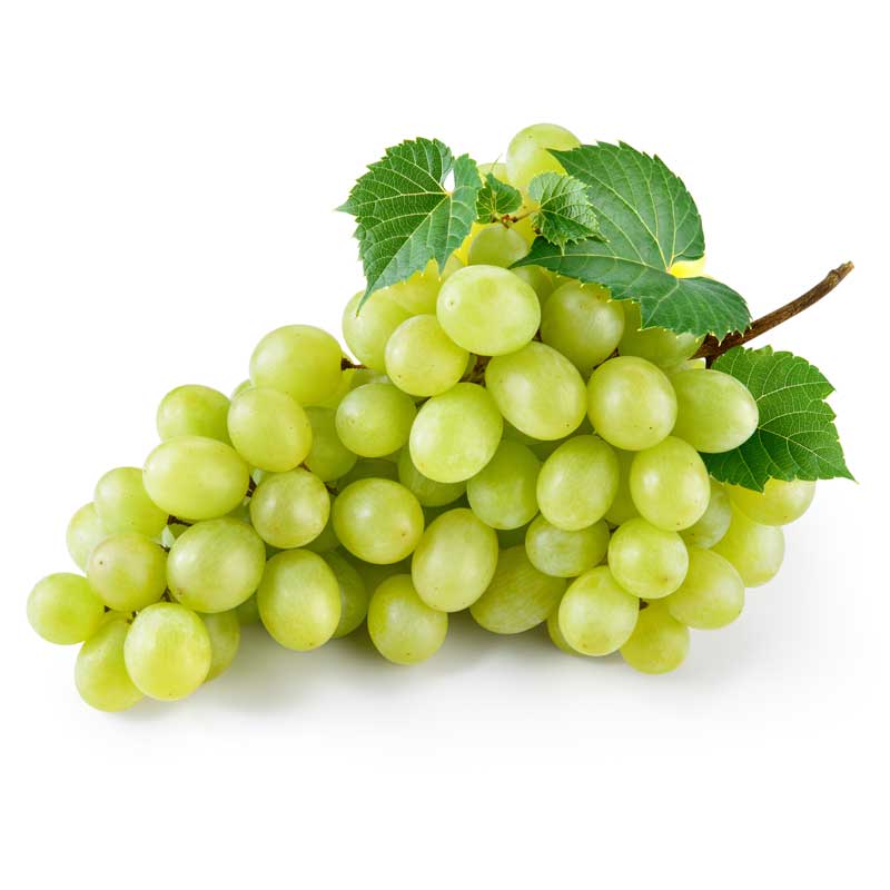 grapes - Seven Star trade for exporting fruits and Vegetables